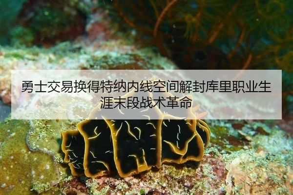 yong-shi-jiao-yi-huan-de-te-na-nei-xian-kong-jian-jie-feng-ku-li-zhi-ye-sheng-ya-mo-duan-zhan-shu-ge-ming-1-557.jpg